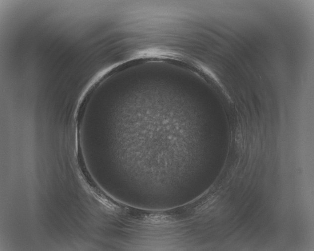 X0000054361323200508051519