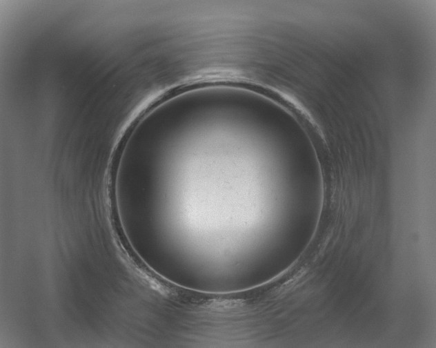 X0000054361325200508051519
