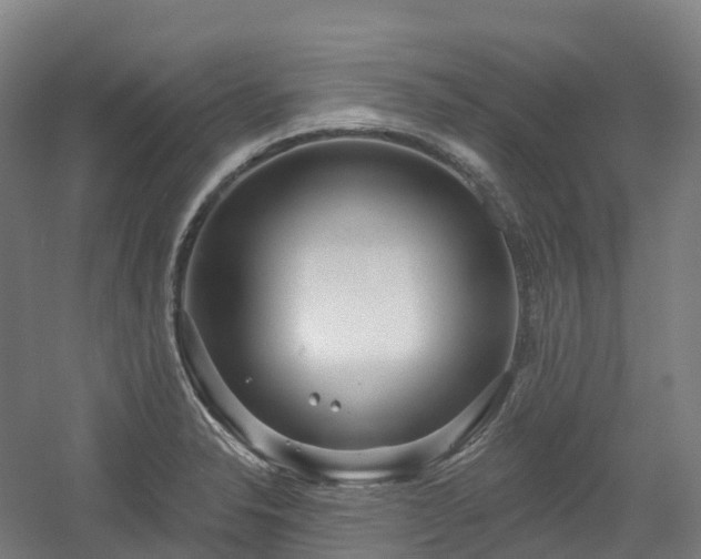 X0000054361326200508051519