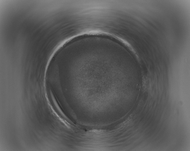 X0000054361327200508051519