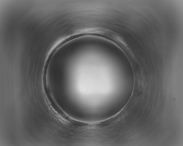 X0000054361328200508051519