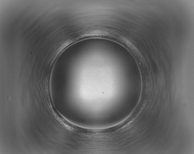 X0000054361329200508051519