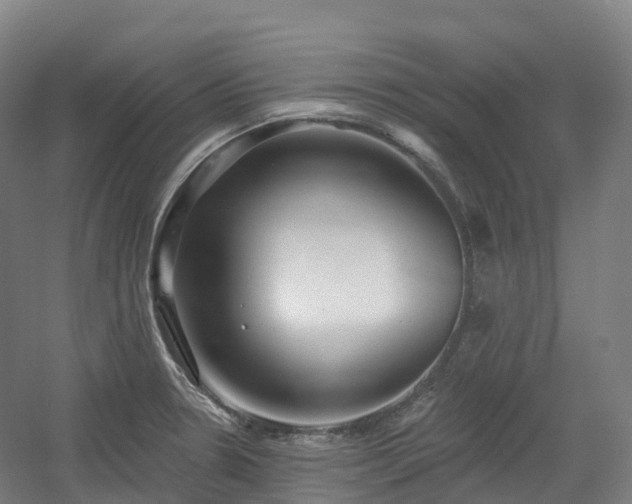 X0000054361330200508051519