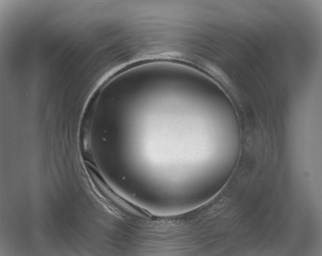 X0000054361332200508051519