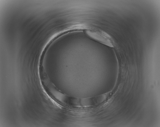 X0000054361334200508051519
