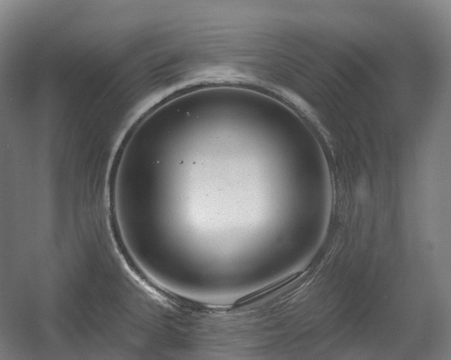 X0000054361335200508051519