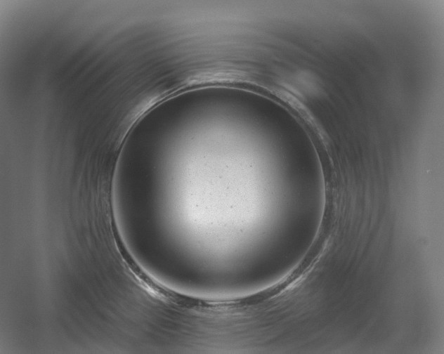 X0000054361337200508051519
