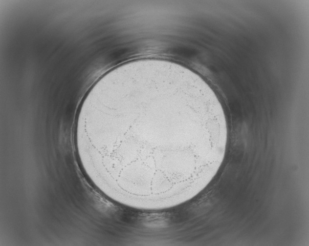 X0000054361338200508051519