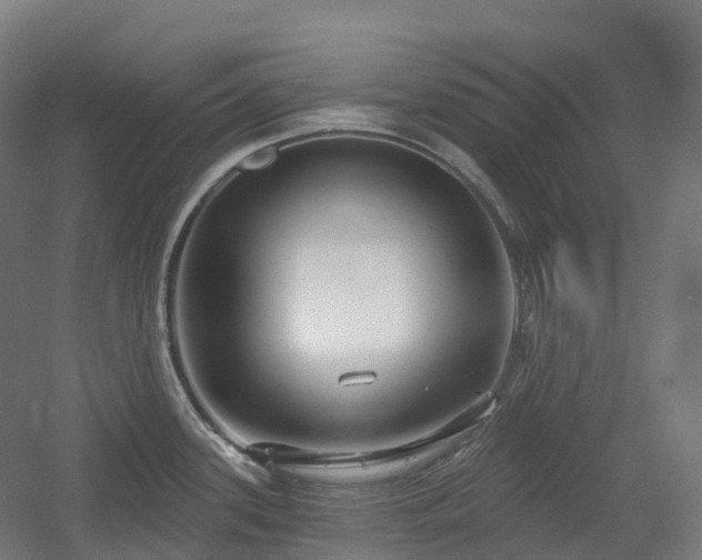 X0000054361339200508051519