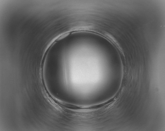 X0000054361340200508051519