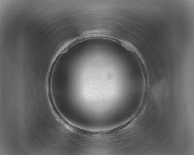 X0000054361341200508051519