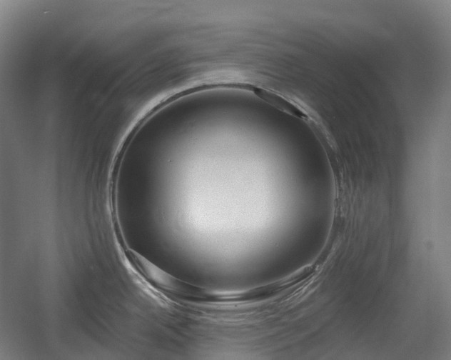 X0000054361342200508051519