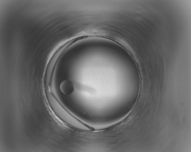 X0000054361344200508051519