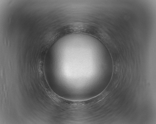 X0000054361346200508051518