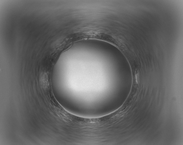X0000054361347200508051518