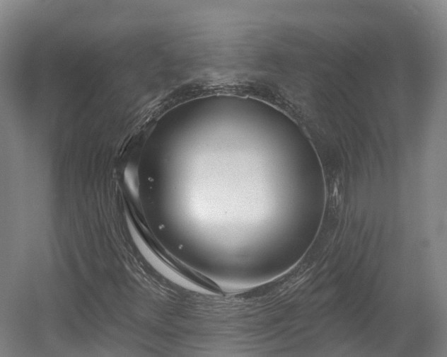 X0000054361348200508051518
