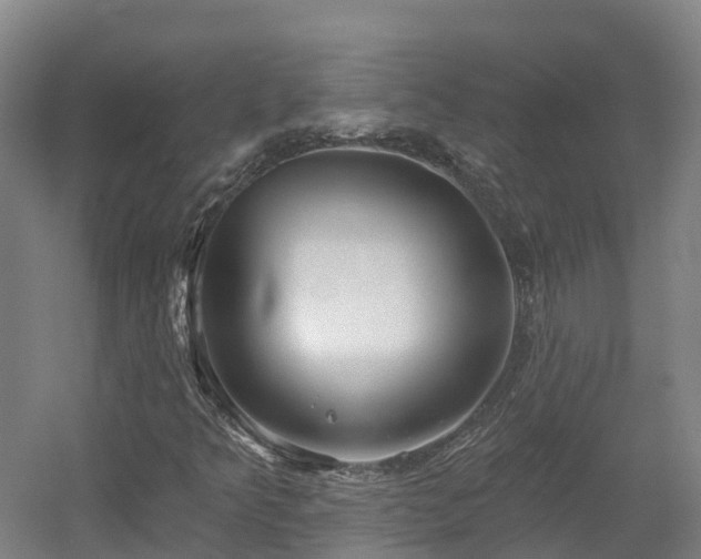X0000054361349200508051518
