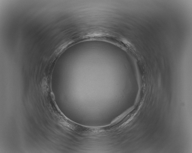 X0000054361353200508051518