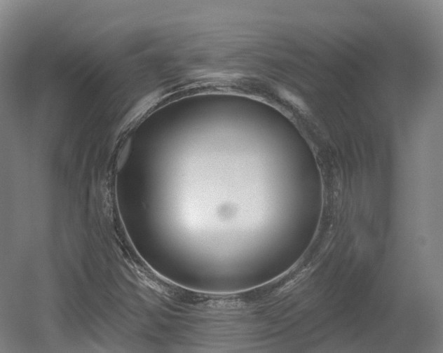 X0000054361354200508051518
