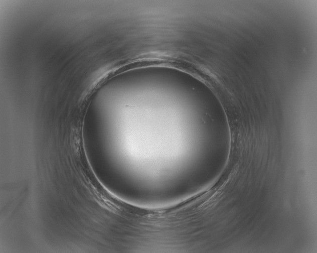 X0000054361355200508051518
