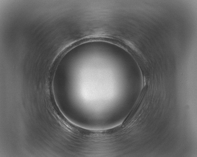 X0000054361356200508051518