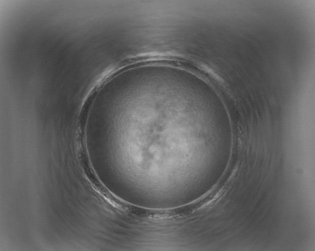 X0000054361357200508051518