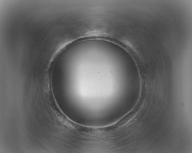 X0000054361358200508051518