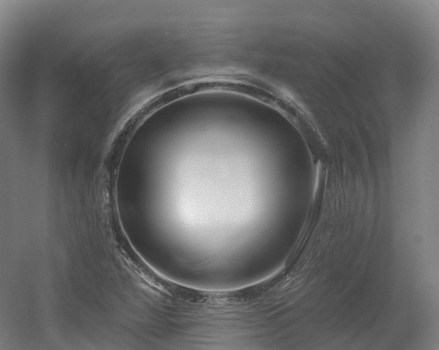 X0000054361360200508051518
