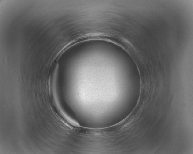 X0000054361361200508051518