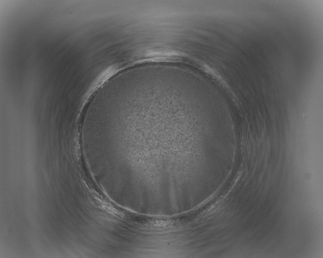 X0000054361362200508051518