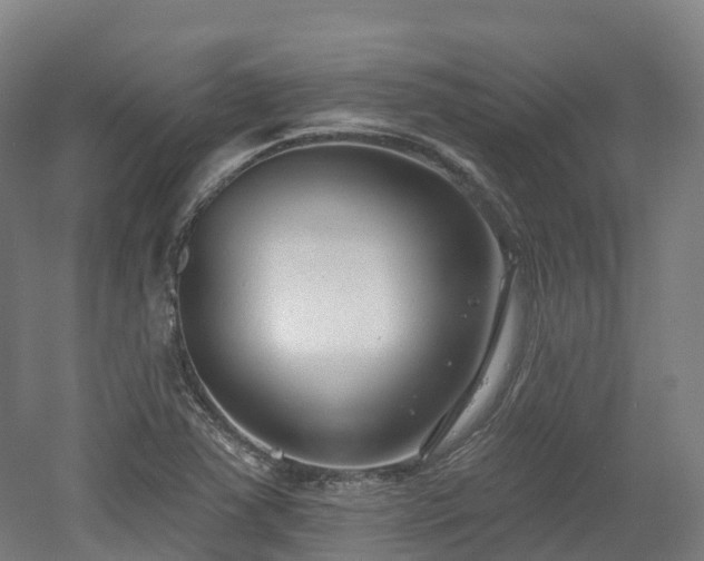 X0000054361363200508051518