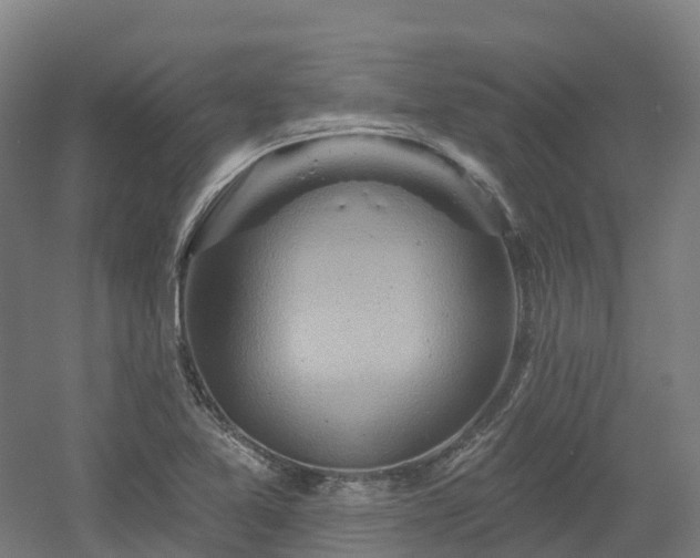 X0000054361365200508051518
