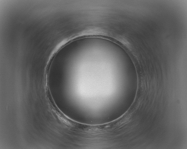 X0000054361366200508051518