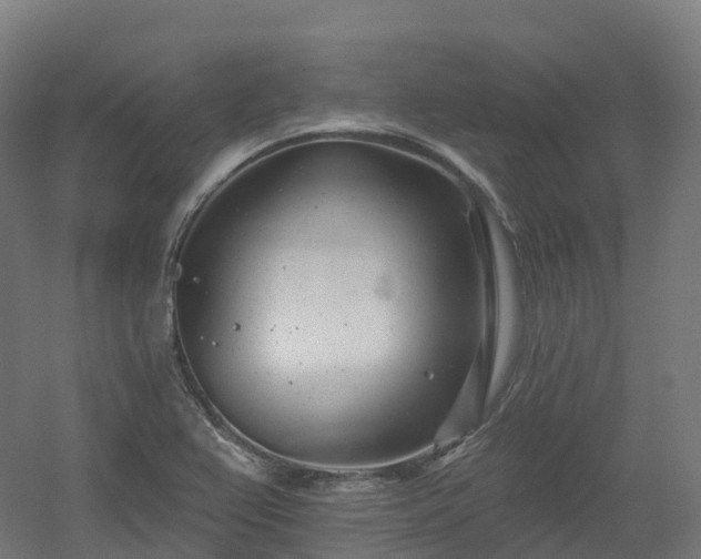 X0000054361367200508051518