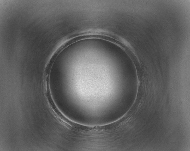 X0000054361368200508051518