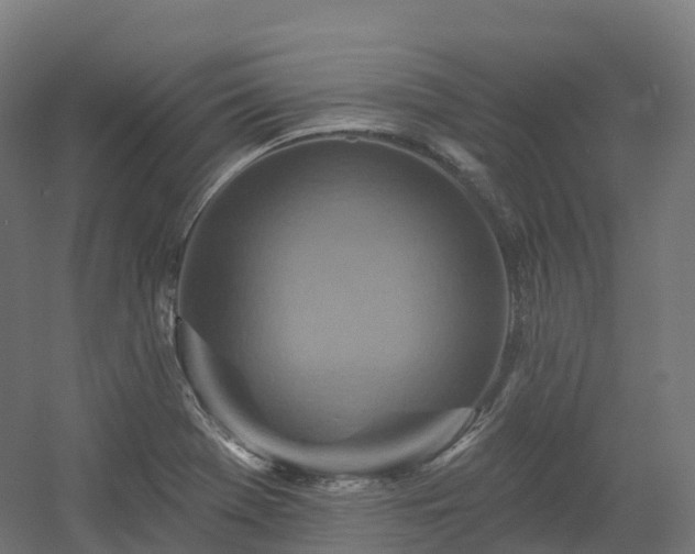 X0000054361369200508051518