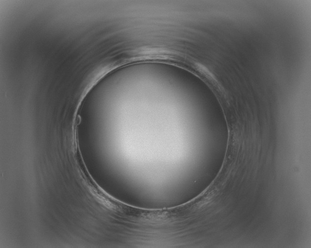 X0000054361370200508051518