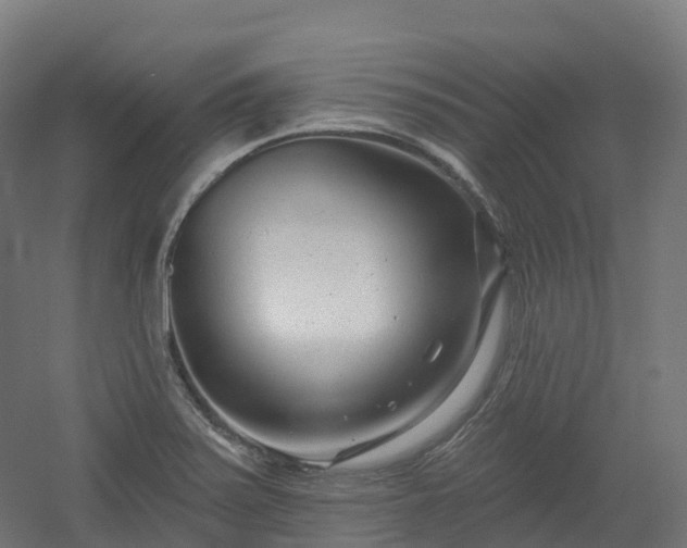 X0000054361371200508051518