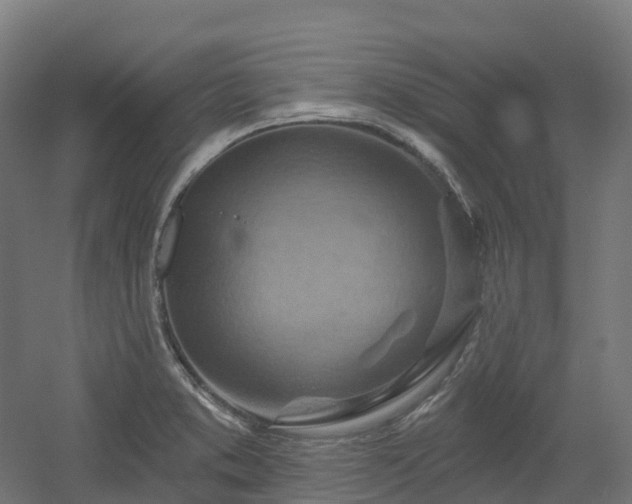 X0000054361373200508051518