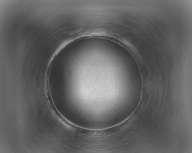 X0000054361374200508051518