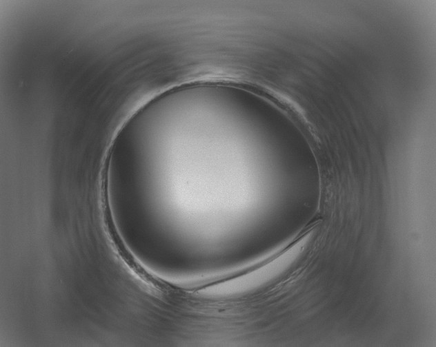 X0000054361375200508051518