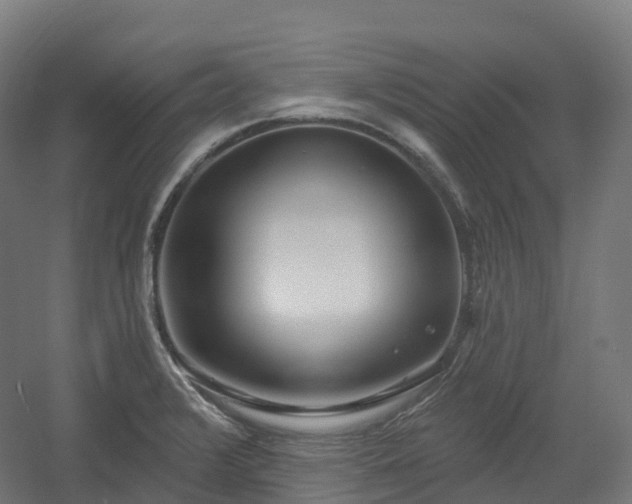 X0000054361376200508051518