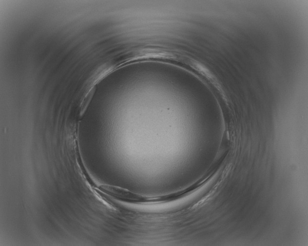 X0000054361377200508051518