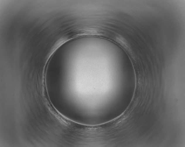 X0000054361378200508051518
