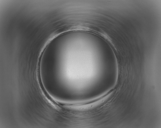 X0000054361379200508051518