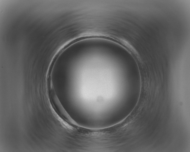 X0000054361380200508051518