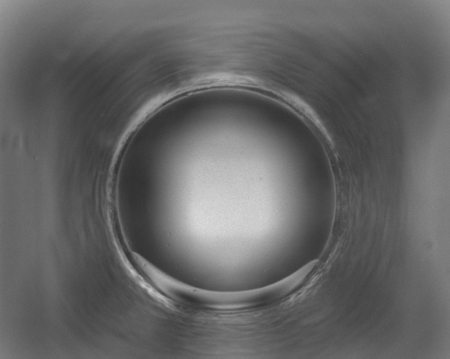 X0000054361381200508051518