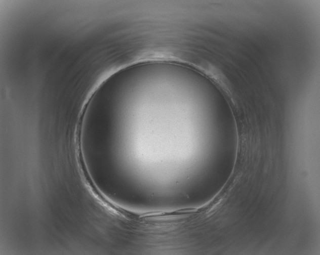 X0000054361382200508051518