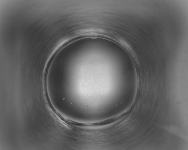 X0000054361384200508051518