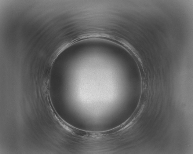 X0000054361385200508051518